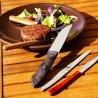 Steakmesser Amefa Goliath Metall Edelstahl (25 cm) (Pack 6x)