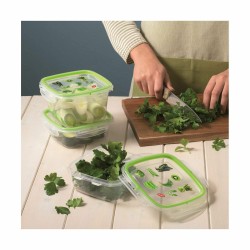 Lunchbox Snips Hermetischer verschluss 500 ml (12 Stück)